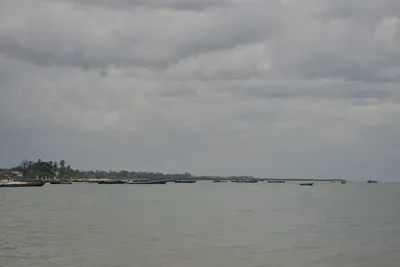 DSC_5444 (Large).JPG